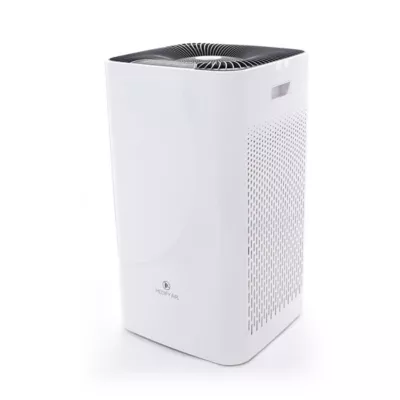 Light Commercial Air Purifier