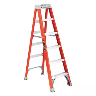 6' Step Ladder