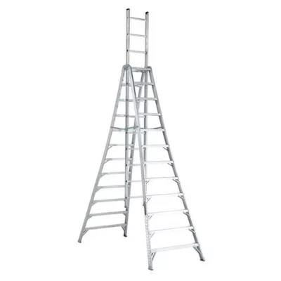 12' Frame Ladder
