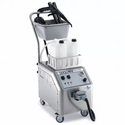 Electric Rental Steam Cleaner