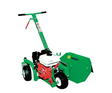 Landscape Bed Edger Gasoline