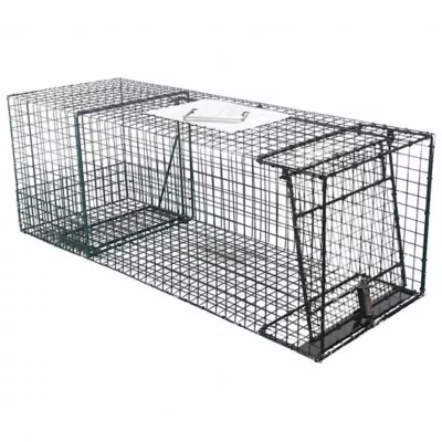 Animal Trap