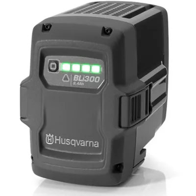 Lithium Battery 40V with Charger & Bag